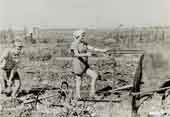 Apprentissage des travaux agricoles en vue d'une migration vers la Palestine : jeune femme maniant la charrue. Allemagne, 1935.