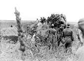 Membres d'un Einsatzkommando tirant sur des juifs dans un champ à Dubossary, Moldavie