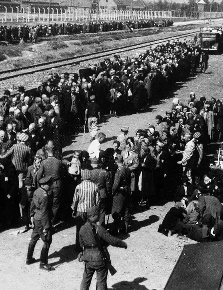 Auschwitz La Machine De Mort Nazie Replay Auschwitz-Birkenau, l'industrie de la mort - Mémorial de la Shoah