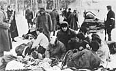Des prisonniers juifs sont forc�s de se d�shabiller avant leur ex�cution par des auxiliaires ukrainiens. Photographe inconnu. 1942. Chernigov, Ukraine Des prisonniers juifs sont forc�s de se d�shabiller avant leur ex�cution par des auxiliaires ukrainiens