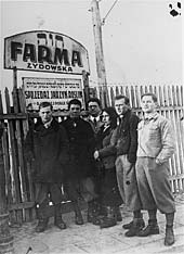 Stanislawow, Stanislau, Stanislav (Galicia). The billboard reads : Jewish farm. Vegetables for sale every day