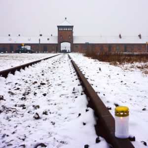 Vue d'Auschwitz-Birkenau. © Mémorial de la Shoah.