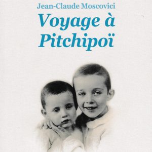 quiz du livre voyage a pitchipoi